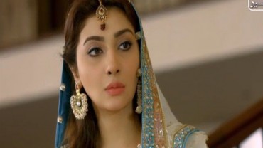 Dil Ishq Last Episode 25 in HD