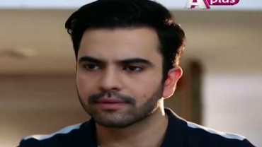 Ye Mera Deewanapan Hai Episode 40 in HD