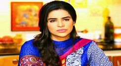 Dil Hi To Hai Episode 24 in HD