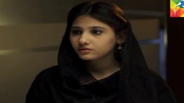 Ek Thi Misaal Episode 24 In HD Hum T