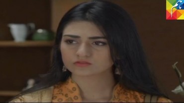 Mohabbat Aag Si Episode 29 in HD