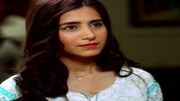 Babul Ka Angna Episode 102 in HD