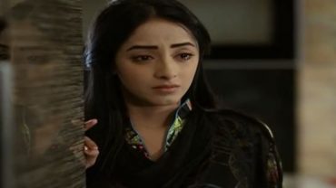 Zindagi Tujhko Jiya Episode 51 in HD