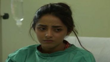 Zindagi Tujhko Jiya Last Episode 60 in HD