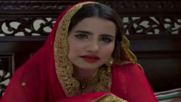 Ishq Nachaya