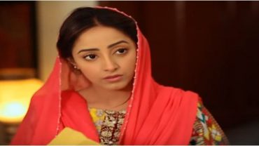 Kathputli Last Episode 19 in HD