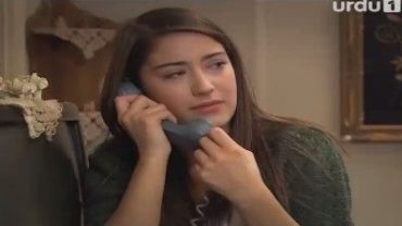 feriha on netflix