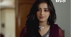 Meher Aur Meherban Episode 17 in HD