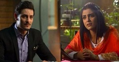 Sanam Episode 12 in HD