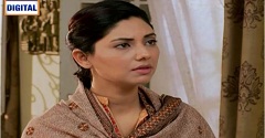 Naimat Episode 22 in HD