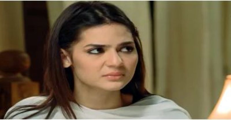 Dhaani Episode 20 in HD