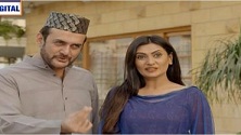 Dilli Walay Dularay Babu Episode 22 in HD