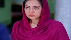 Kambakht Tanno Episode 82 in HD