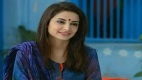 Seeta Bagri Episode 19 in HD