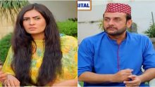 Dilli Walay Dularay Babu Episode 39 in HD