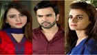 Sun Yaara Episode 22 in HD