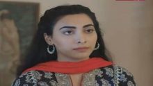 Dil e Majboor Episode 24 in HD