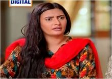 Dilli Walay Dularay Babu Episode 42 in HD