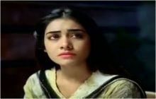 Bechari Mehrunnisa Episode 136 137 in HD