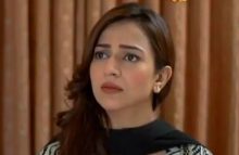 Apnay Paraye Episode 21 in HD