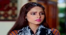 Bechari Mehrunnisa Episode 138 in HD