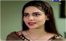 Bechari Mehrunnisa Last Episode 140 in HD