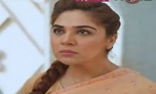 Love in Gulshan e Bihar Episode 6 in HD
