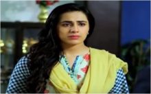 Roshni Last Episode 175 in HD