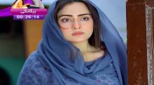 Kambakht Tanno Episode 171 in HD