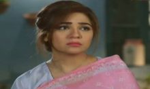 Love in Gulshan e Bihar Episode 31 in HD