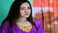 Kambakht Tanno Episode 188 in HD