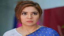 Love in Gulshan e Bihar Episode 39 in HD