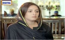 Shiza Episode 25 in HD