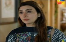 Woh Aik Pal Episode 25 in HD