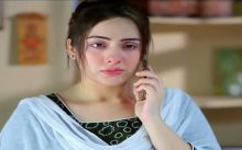 Kambakht Tanno Episode 195 in HD