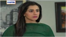 Aik Hi Bhool Episode 77 in HD