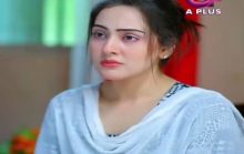 Kambakht Tanno Episode 201 in HD