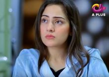 Kambakht Tanno Episode 204 in HD