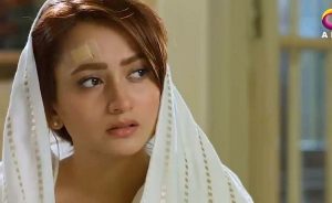 Is Chand Pay Dagh Nahi Episode 15 in HD