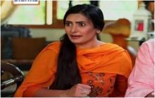 Dilli Walay Dularay Babu Episode 57 in HD