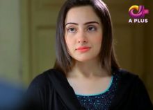 Kambakht Tanno Episode 220 in HD