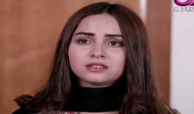 Meherbaan Episode 31 in HD