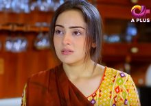 Kambakht Tanno Episode 231 in HD