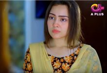 Kambakht Tanno Episode 233 in HD