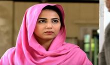 Neelum Kinaray Episode 13 in HD