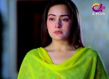 Kambakht Tanno Episode 240 in HD