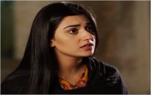 Yaar e Bewafa Episode 24 in HD