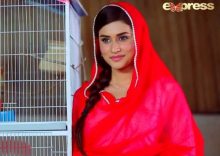 Dil e Nadan Episode 28 in HD