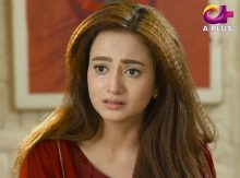 Is Chand Pay Dagh Nahi Episode 25 in HD