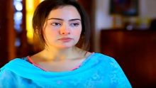 Kambakht Tanno Episode 247 in HD